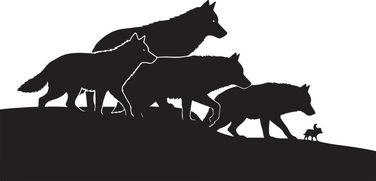 Wolf pack and small pup walking on a ridge, isolated.