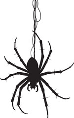 Obraz premium Black silhouette of a spider hanging on a thread vector