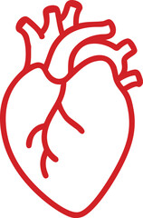 a vector illustration of a human heart. Red outline or line art vector