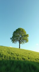 Obraz premium Tree on a grassy hill with a blue sky in the background