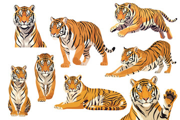 Golden Bengal Tiger with Amber Eyes Multi Pose Collection Flat Vector Illustration with Detailed Fur on White Background