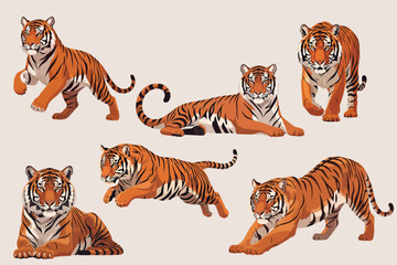 Obraz premium Dark Orange Sumatran Tiger with Amber Eyes Multi Pose Collection Flat Vector Illustration with Detailed Fur on White Background