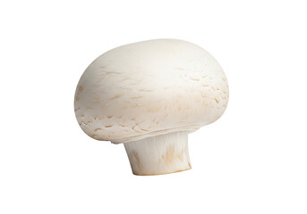 Fototapeta premium Fresh white mushroom isolated, perfect for culinary creations, adding a touch of gourmet elegance to your designs, ideal for food blogs and restaurant menus