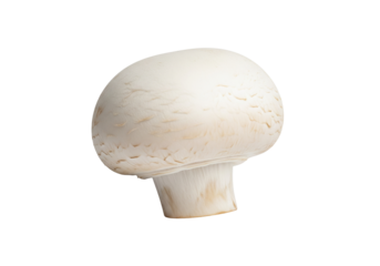 Fresh white mushroom isolated, perfect for culinary creations, adding a touch of gourmet elegance to your designs, ideal for food blogs and restaurant menus