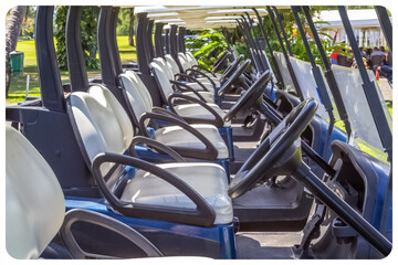 Voiturettes électriques de golf 