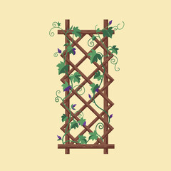 Watch This Stunning Vine Transform a Simple Wooden Trellis