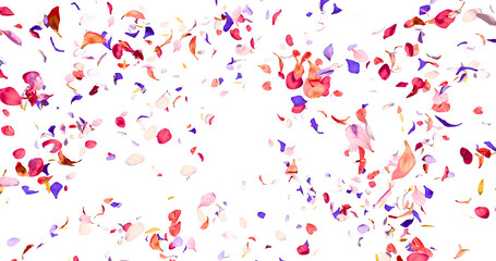 Flower petals flying here in the wind. Colorful several flowers. Isolated on alpha background. 3D rendering.