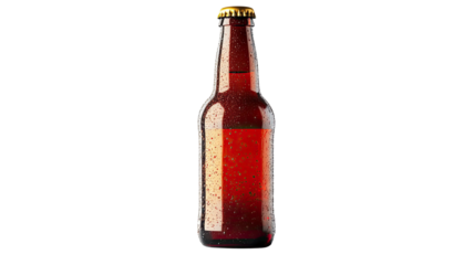 Cold amber glass beer bottle with frosty condensation and smooth chilled surface standing upright for clear beverage detail isolated on white background