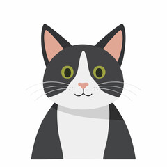 Charming Tuxedo Cat Portrait: A Delightful Illustration of Domestic Feline Beauty and Grace