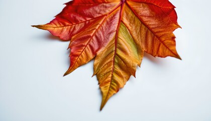 A vibrant autumn leaf resting on a surface, showcasing its vivid shades of red, orange, and yellow.