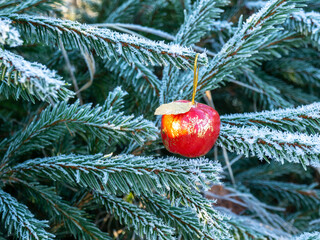 Frosty fir tree with Christmas tree decorations. Christmas mood time. Weather forecast