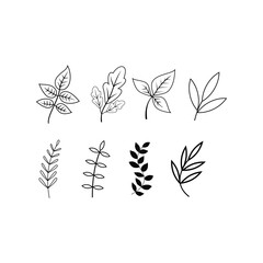 Collection of unique hand drawn leaves, vector illustrations