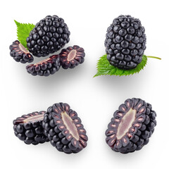 Fresh Ripe Blackberry Fruit Sections on Display Isolated. Transparent Background.