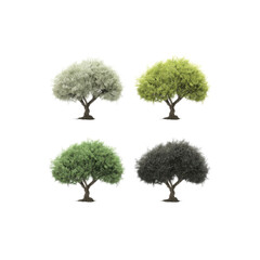 Set of trees with seasonal foliage