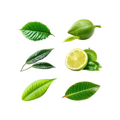 Fresh limes and leaves on black background