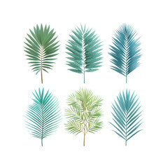 Tropical palm leaves on black background