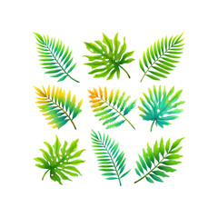 Palm leaves collection in green and yellow tones