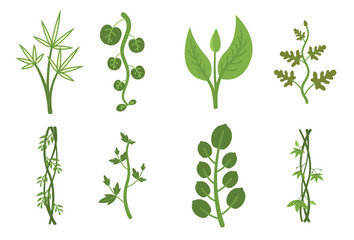 tropical plant vectors 