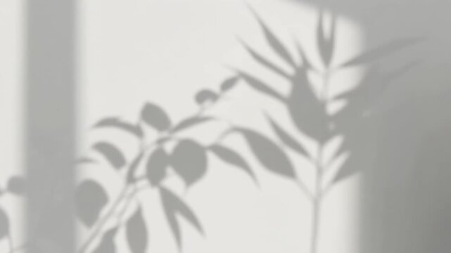 植物の影が柔らかく揺れるミニマルライフスタイル背景