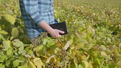 Engaging in the Exploration of Nature with Technology within Agricultural soybeans Fields and Beyond