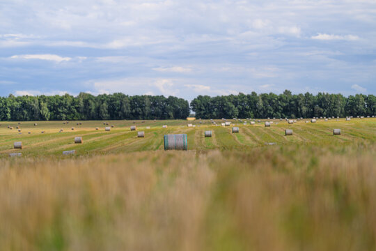A picturesque agricultural landscape featuring hay bales set against a cloudy sky backdrop