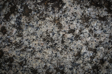 Dark Gray Speckled Granite Texture: Natural Stone Wallpaper
