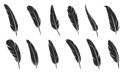 quill feather icons bird plume silhouettes © Alaskav