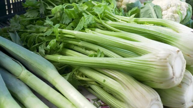 Slow motion close up of a bundle of organic celery fresh vegetables with leeks and cauliflower in the background at a farmers market food and produce stall Central Coast Australia agriculture greens