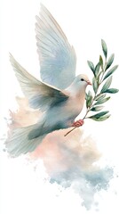 Obraz premium A graceful dove carries an olive branch, symbolizing peace, illustrated in soft watercolor hues against a delicate backdrop.