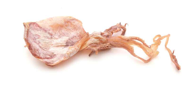 Dried squid on white background 