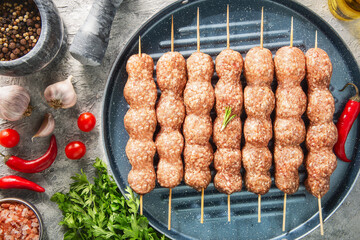 Arabic cuisine; Raw kofta kebab is one of the most popular dishes in Egypt that combines minced meat onions and various spices. It's ready for grilling.