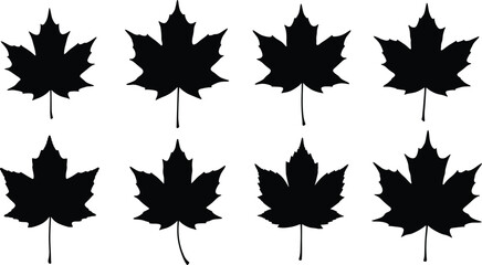 Set of black maple leaf silhouettes, autumn season vector illustration, Canadian nature symbol, fall foliage design collection, isolated botany icon, organic plant shape