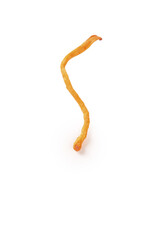 Dried Cordyceps Mushroom Traditional Chinese Medicine Herbal Ingredient TCM Health Formula