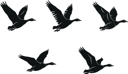 Duck silhouettes in flight poses, feather texture detail, black bird triangular layout - flavector
