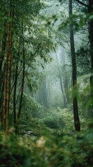 Obraz premium Serene Bamboo Forest in Misty Rain, Inviting Tranquility and Nature's Embrace