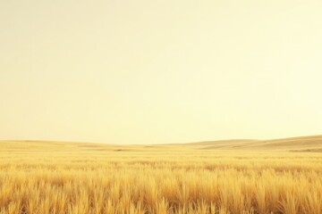 Obraz premium Golden Field Under a Pale Sky A Serene Landscape Photograph Depicting Undulating Terrain and Tall Grass Under Soft Light