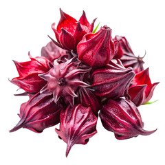 Pile of fresh deep red roselle calyxes isolated on transparent background