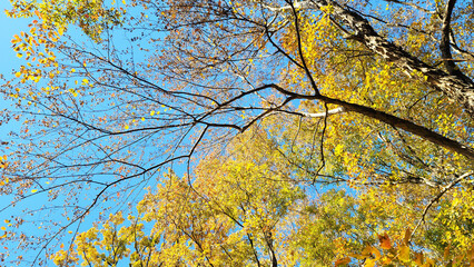 日本の風景・四季・紅葉／行楽日和・風景・自然／八百万の神々／光・空／Japanese landscapes, four seasons, autumn leaves / Perfect weather for outings, scenery, nature / Eight million gods / Light, sky