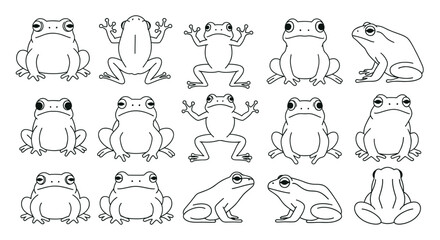 Illustrated frog species identification guide with cartoon frogs