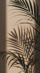 Sunlight casting dramatic palm leaf shadows on a neutral-toned wall, creating a serene and minimalist aesthetic