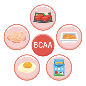 BCAAを多く含む食品のイラストセット／Foods High in BCAA Illustration Set