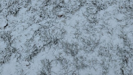 Schnee und Grass © EmDali