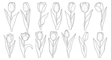 Collection of fourteen simple tulip flower outlines in a hand-drawn line art style for coloring books and elegant designs.