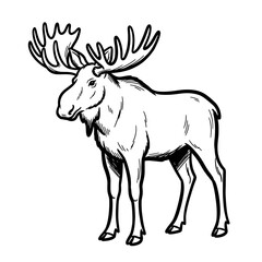 A majestic hand-drawn black and white illustration captures the distinctive profile of a large moose, showcasing its impressive antlers and powerful build.