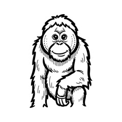 A friendly, hand-drawn orangutan illustration with a warm smile, perfect for children's books, educational materials, or nature conservation themes.