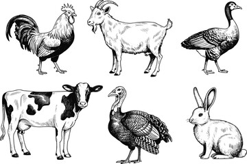 Naklejka premium Farm poultry and livestock engraved set, vintage rooster, goat, cow, turkey, rabbit, and goose illustration vector