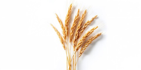 Fototapeta premium Close-up of a pink flamingo's head, emphasizing its curved beak, against a softly blurred natural background, bird awareness day