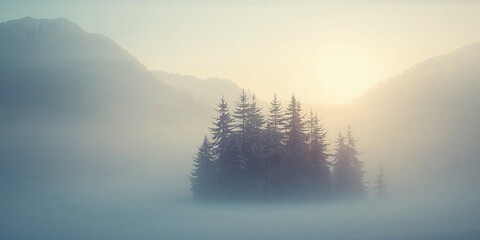 Lawn green grass background with blurred edges, texture, summer and spring, nature scene, landscape for outdoor design