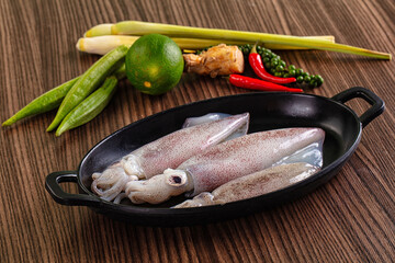 Raw wild calamari for cooking