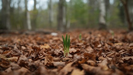 Young green sprouts emerging from the ground amid dry oak leaves, illustrating early spring growth and seasonal change